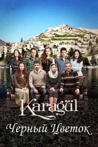 Сериал Чёрный цветок
