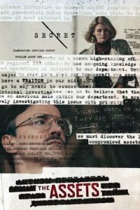 Сериал Активы