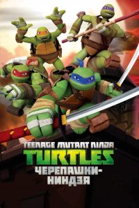 Сериал Черепашки-ниндзя