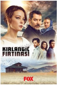Сериал Шторм ласточки