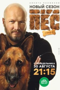 Сериал Пес