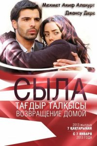 Сериал Сыла. Возвращение домой