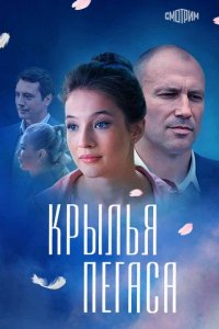 Сериал Крылья Пегаса