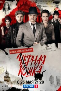 Сериал Черная кошка